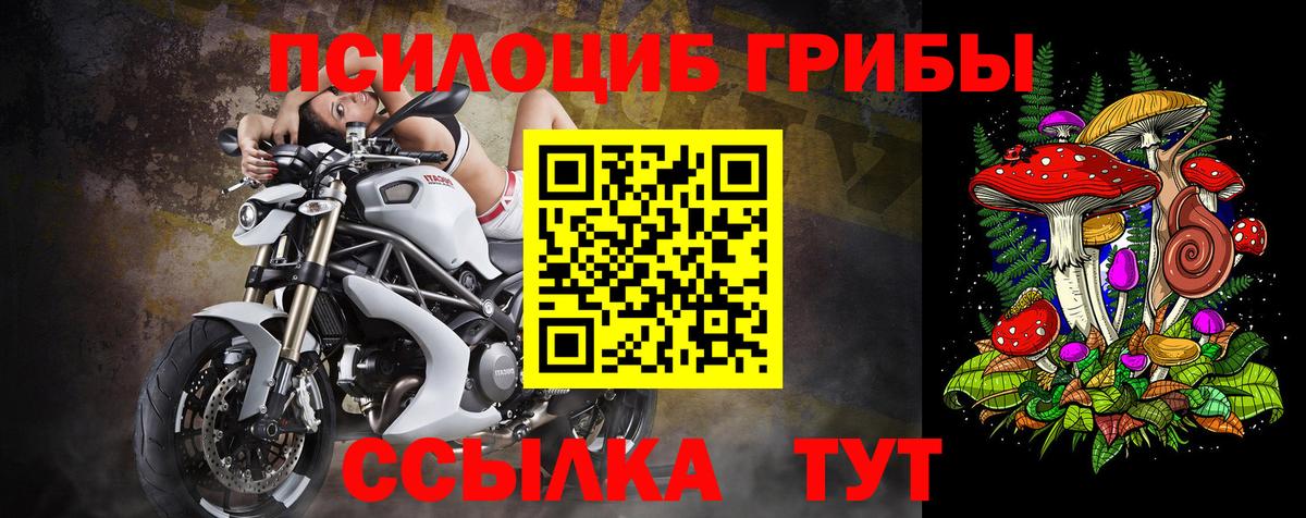 Екатеринбург  Псилоцибиновые грибы MAGIC MUSHROOMS  Вход с VPN 