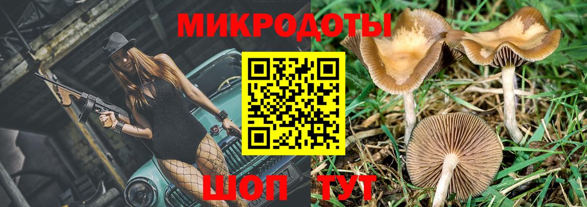 Псилоцибиновые грибы мухоморы Екатеринбург